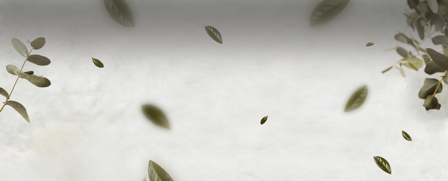 bg_banner_02-2.jpg